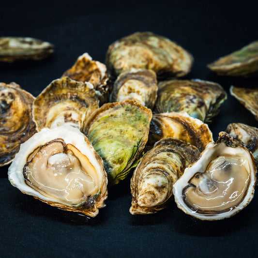 Oysters Discovery Box