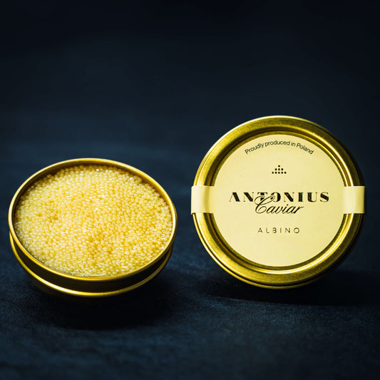 Albino Caviar Rare