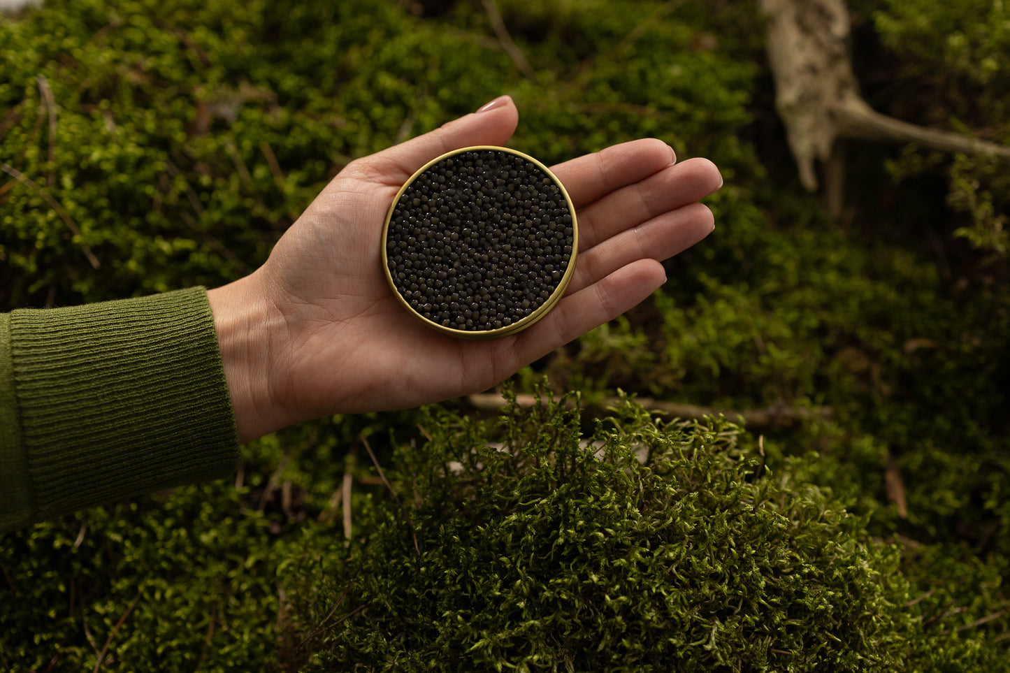 Antonius Caviar Siberian Prestige