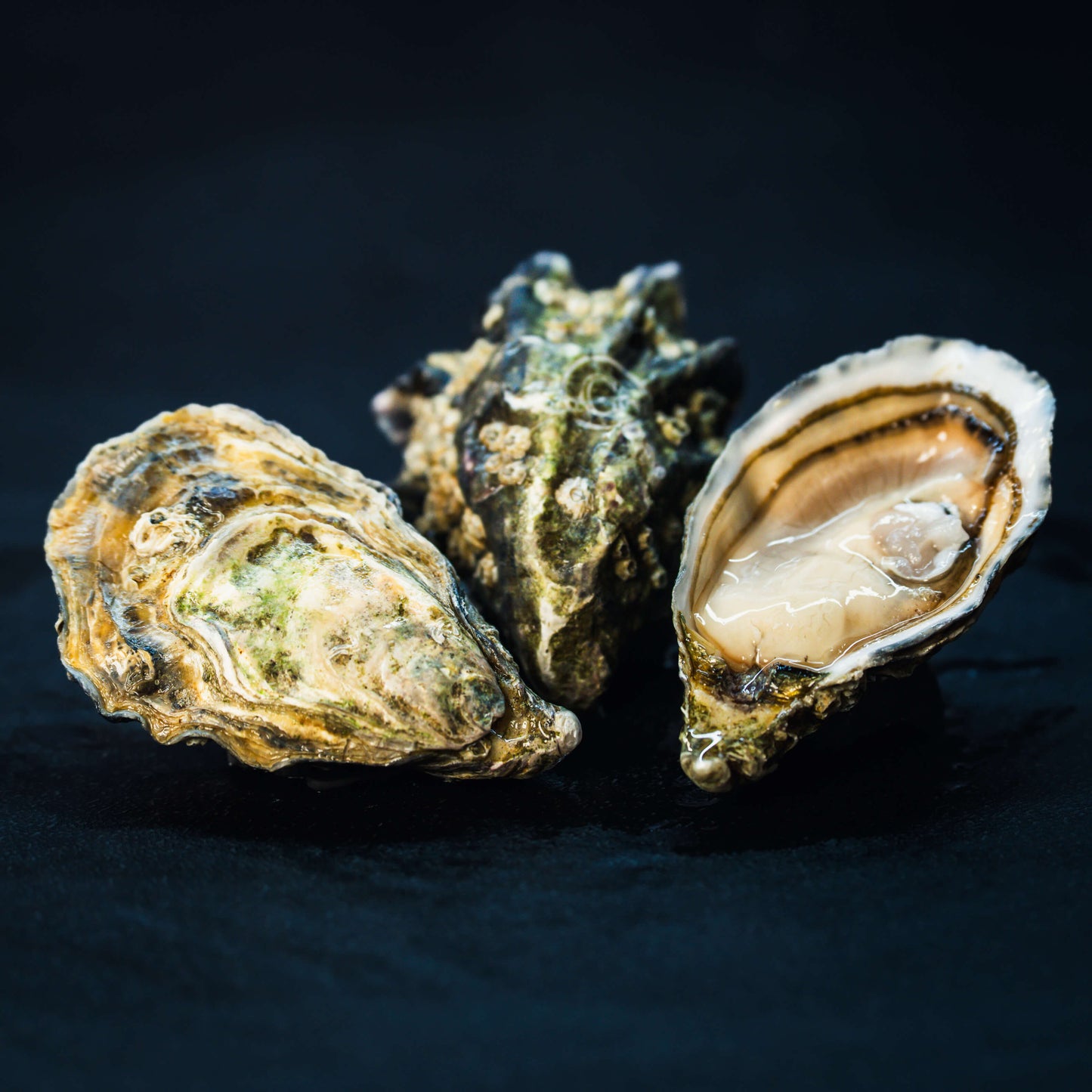 Gillardeau Oysters & Siberian Caviar Prestige