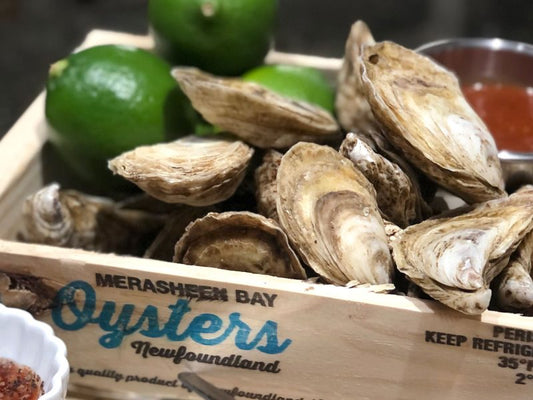 Merasheen Bay oyster