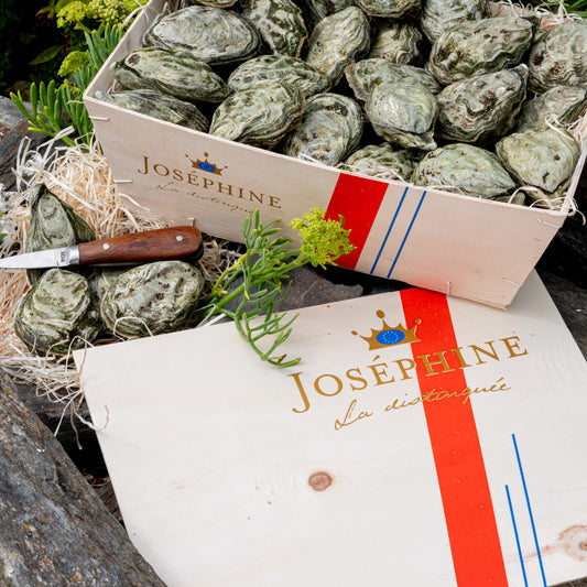 Josephine Oysters