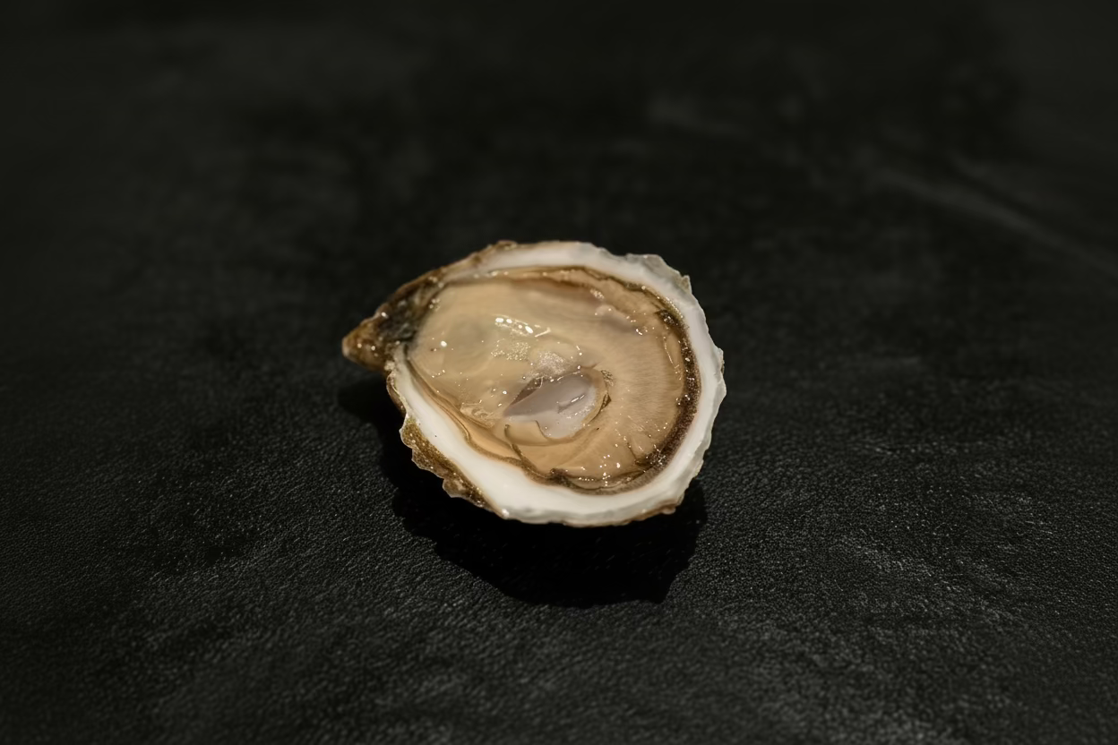 High Roller Oysters