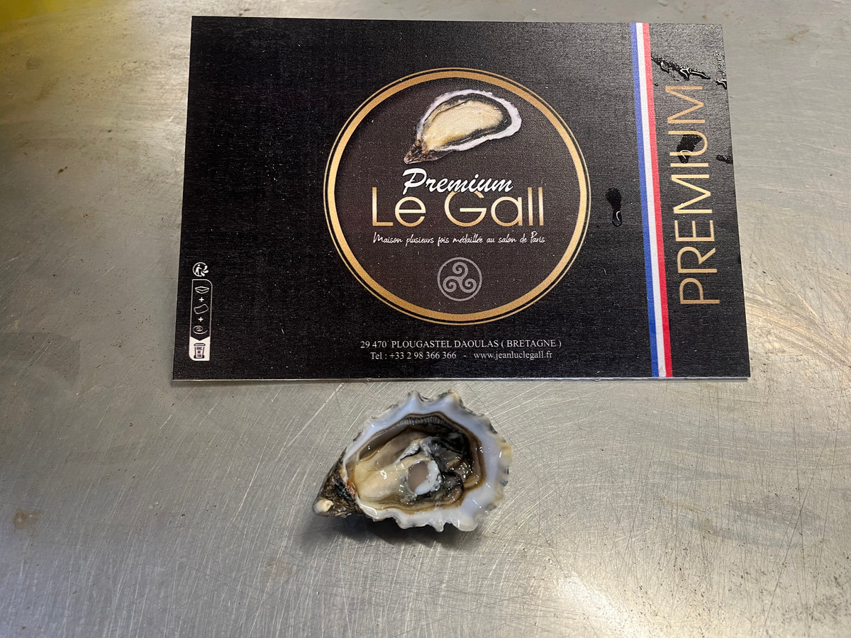 Premium Britanny Oyster