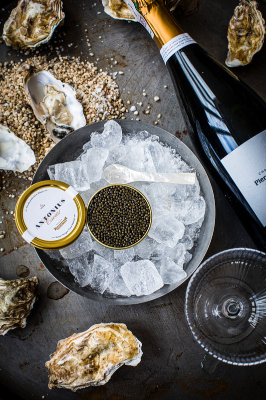 Caviar Antonius Osciètre Suprême