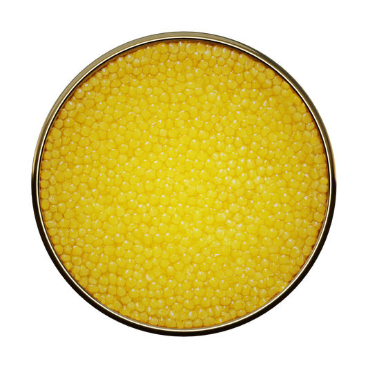 Antonius Caviar Albino Rare