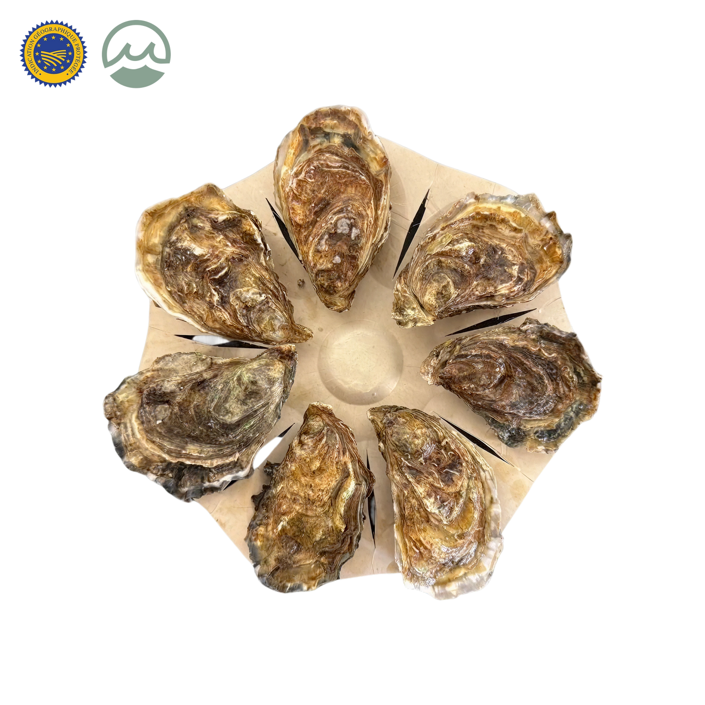 Assiettes d'Huîtres Filmées