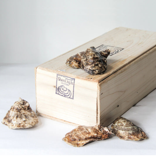 ShanDaph Oysters