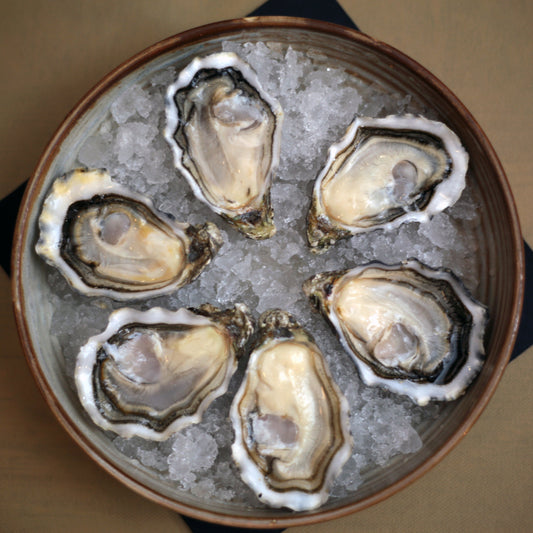 Are oysters as good for your  health as they taste?