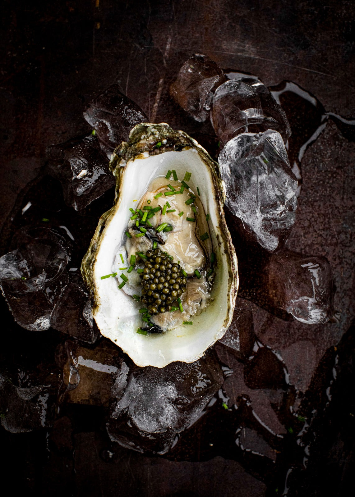 Oysters & Caviar