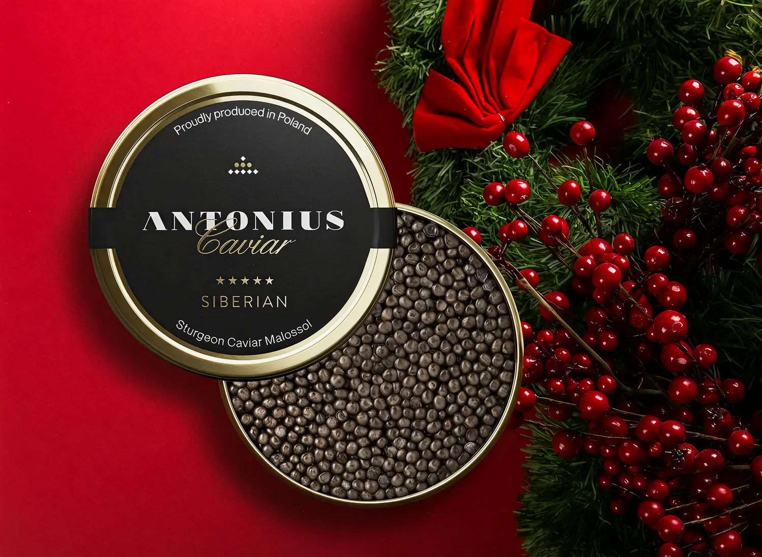 Holiday Collection 2025