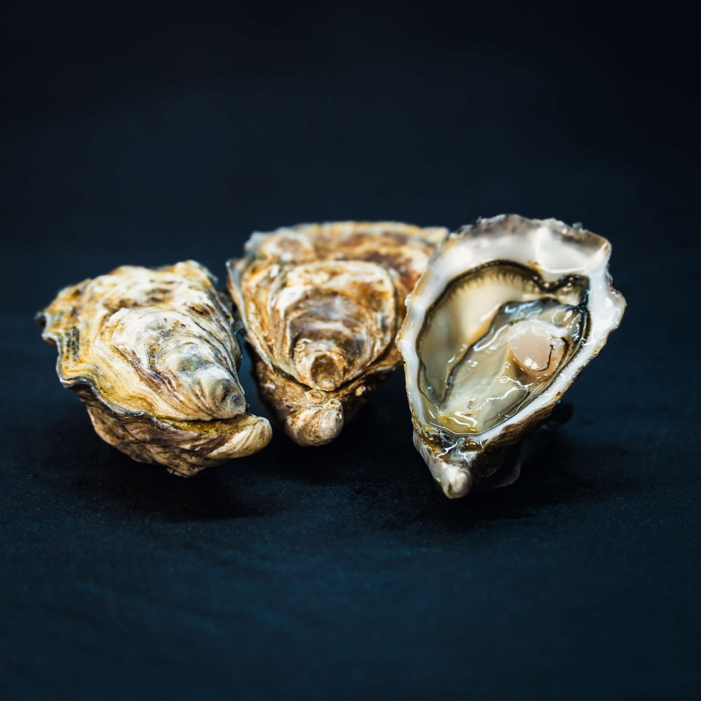 Tia Maraa huître Irlandaise