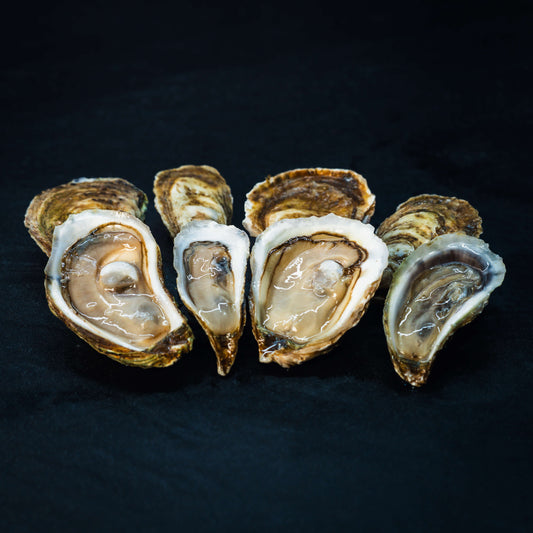 Oysters Discovery Box