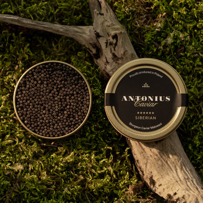 Caviar Antonius Prestige Sibérien