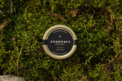 Caviar Antonius Prestige Sibérien