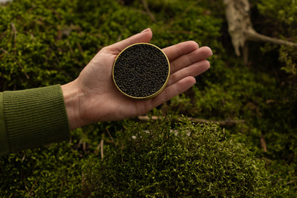 Caviar Antonius Prestige Sibérien