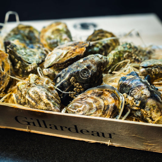 Huîtres Gillardeau  