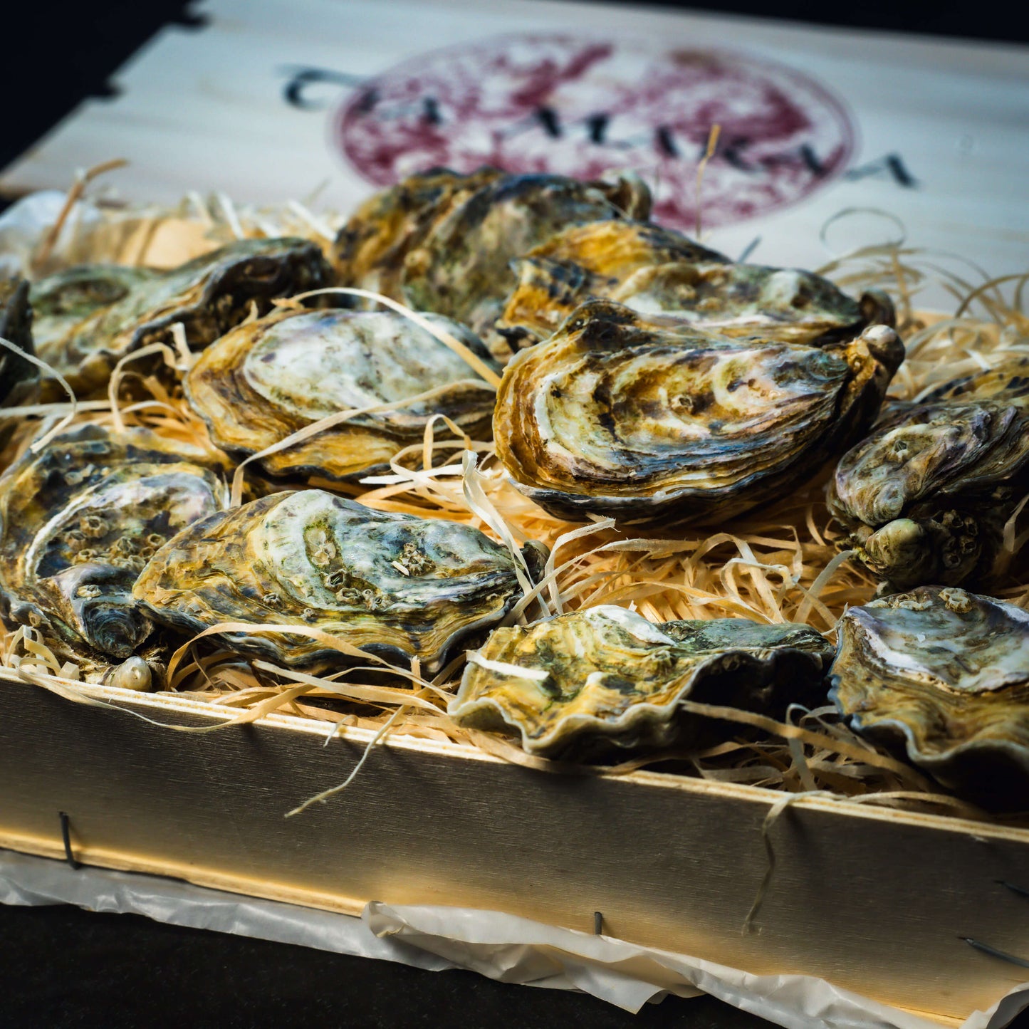 Tia Maraa huître Irlandaise