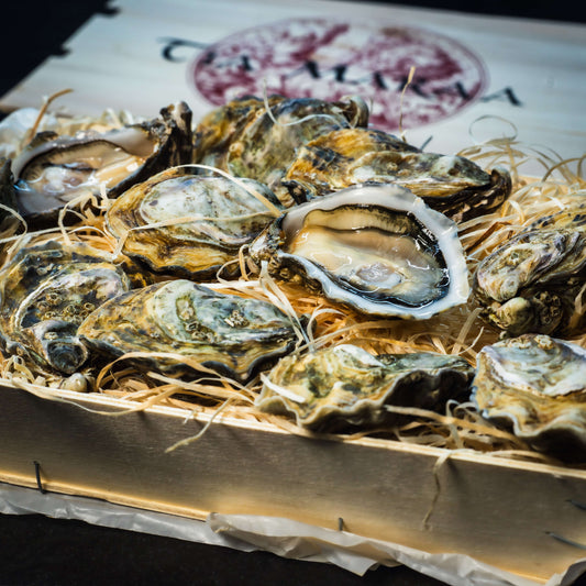 Tia Maraa huître Irlandaise