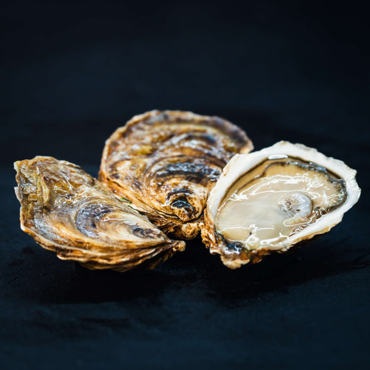 East Cape Cocktail Oysters