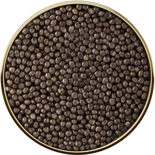 Caviar Antonius Prestige Sibérien