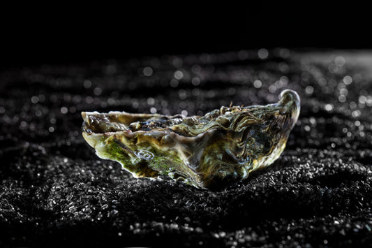 Jumbo Gillardeau Oysters