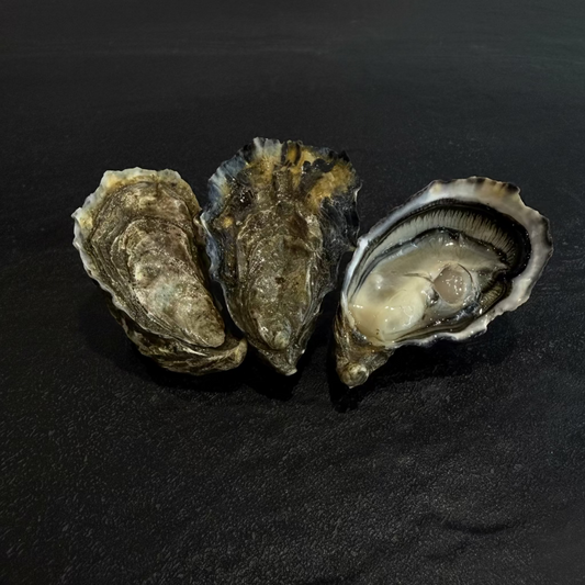 Nakr oyster "The Special from Legris"
