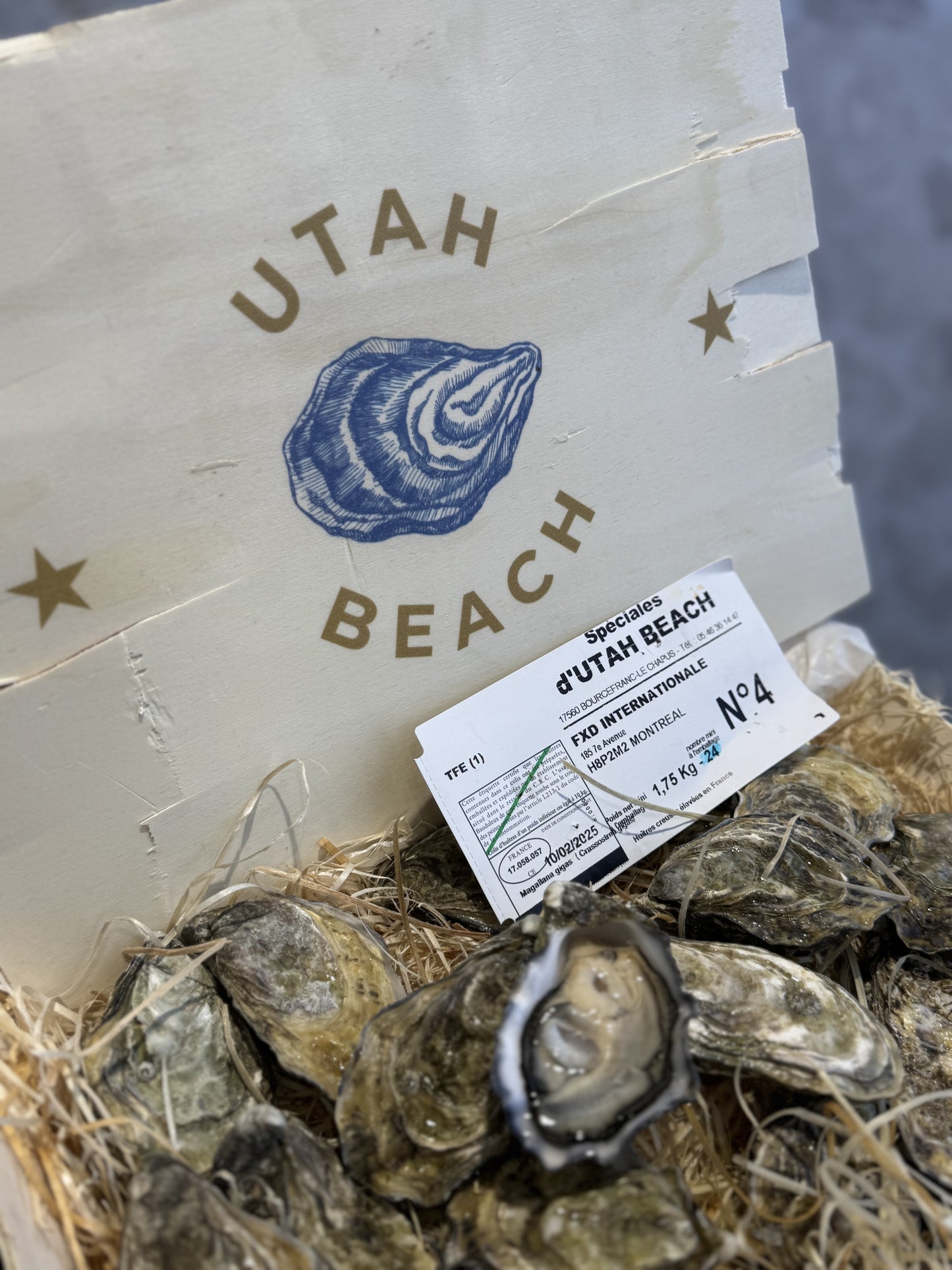 Utah Beach oysters