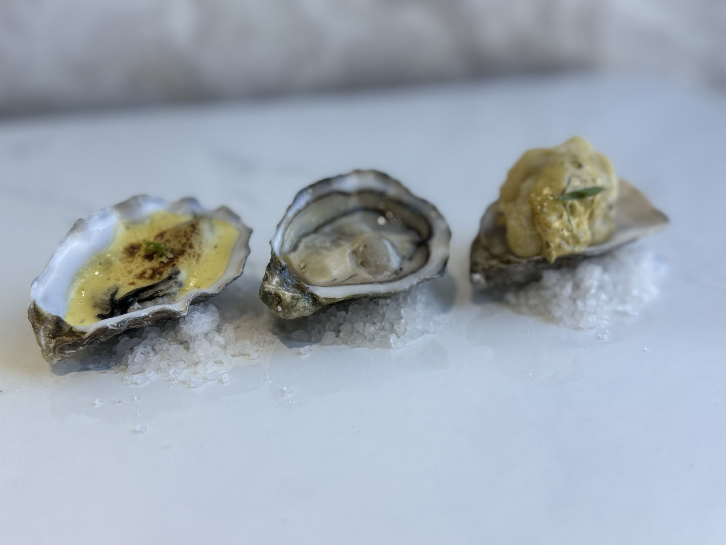 Happy Hour Oyster Workshop