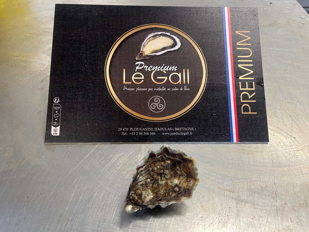 Premium Britanny Oyster