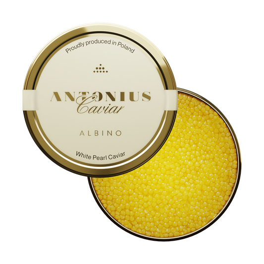 Antonius Caviar Albino Rare