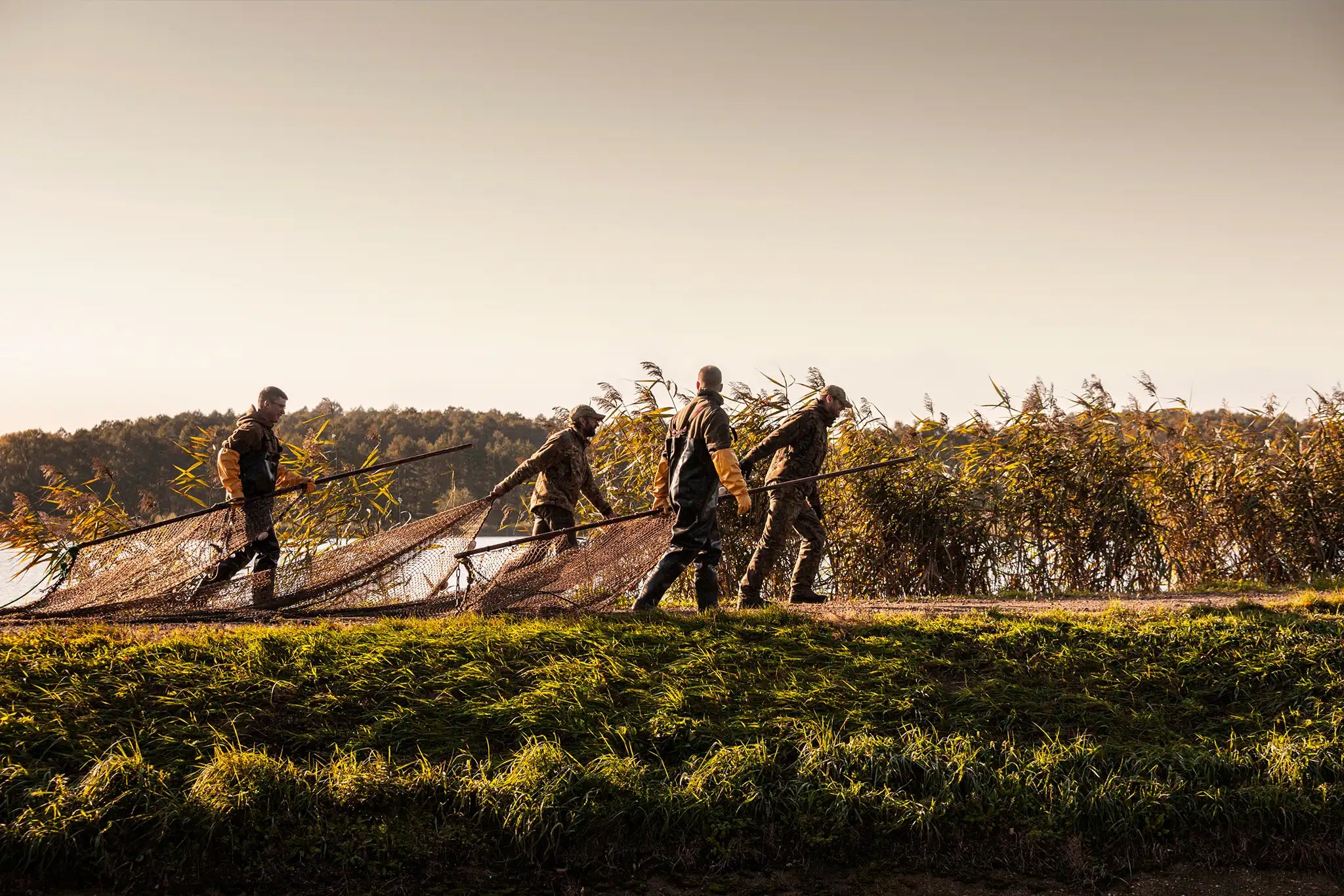 Associates at Antonius Caviar farm carrying nets at sunset