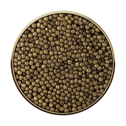 Caviar Osciètre Suprême