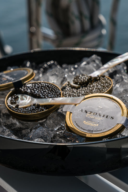 Antonius Caviar Duo Oscietra Supreme & Siberian Prestige