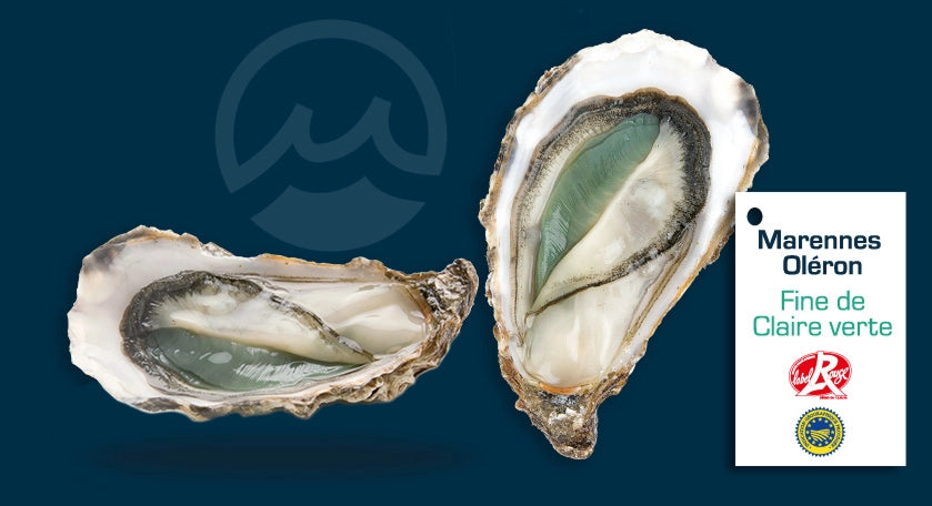 Fine de Claire Verte Label Rouge Oysters