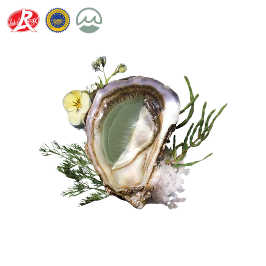 Open lamaison fine de claire oyster on a bed of seaweed with visible brand logos.