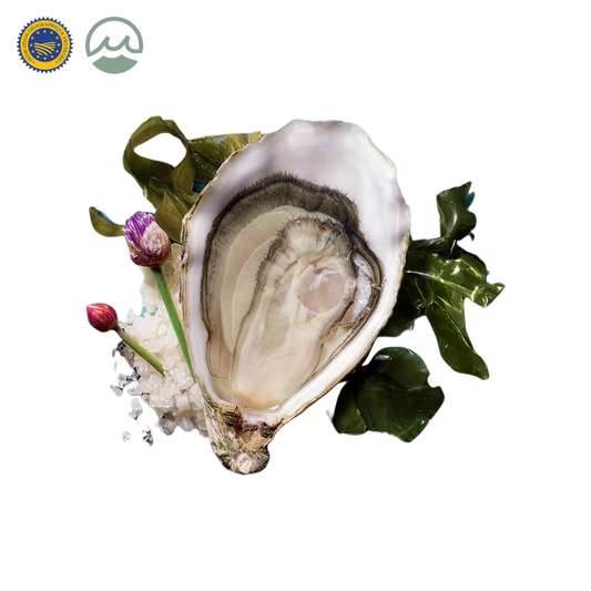 Fines de Claire IGP Marennes-Oléron Oysters