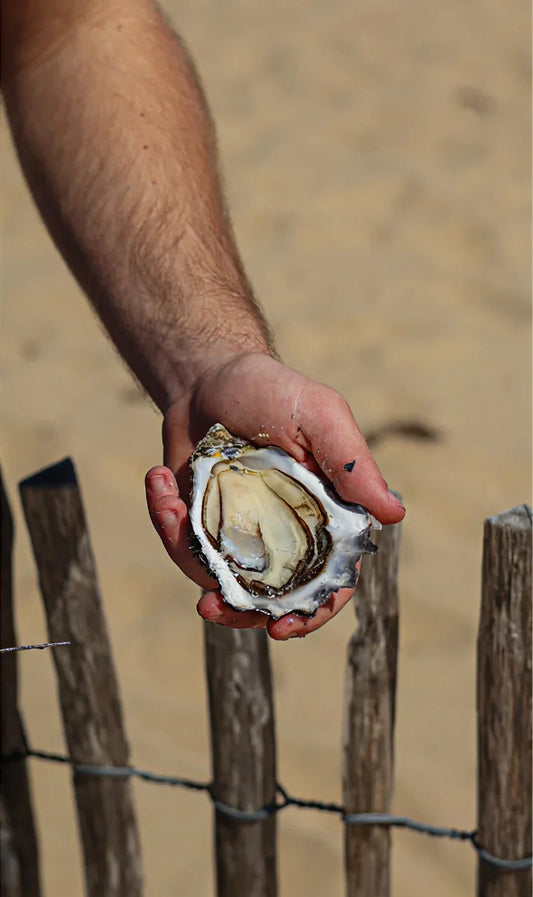 Prestige by Lamaison Oysters