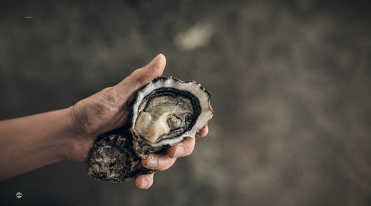 An open Maison Legris oyster held in a hand against a softly focused background
