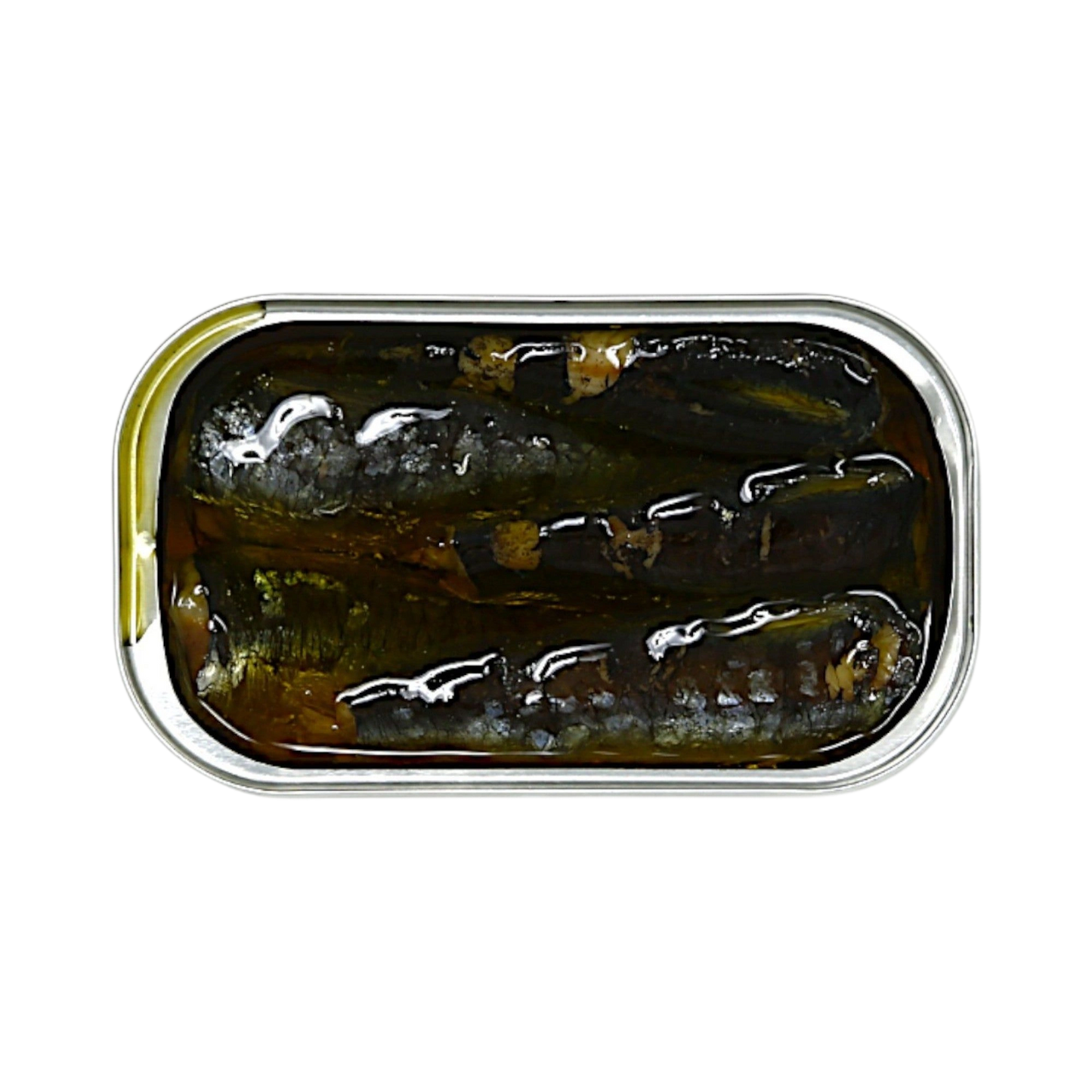 Sardinha House sardines in organic olive oil, alternate view
