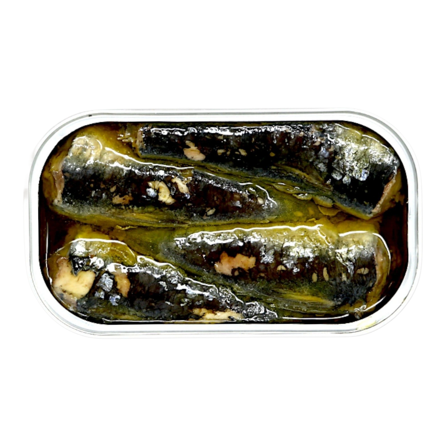 Cantara's House sardines in organic olive oil, alternate view