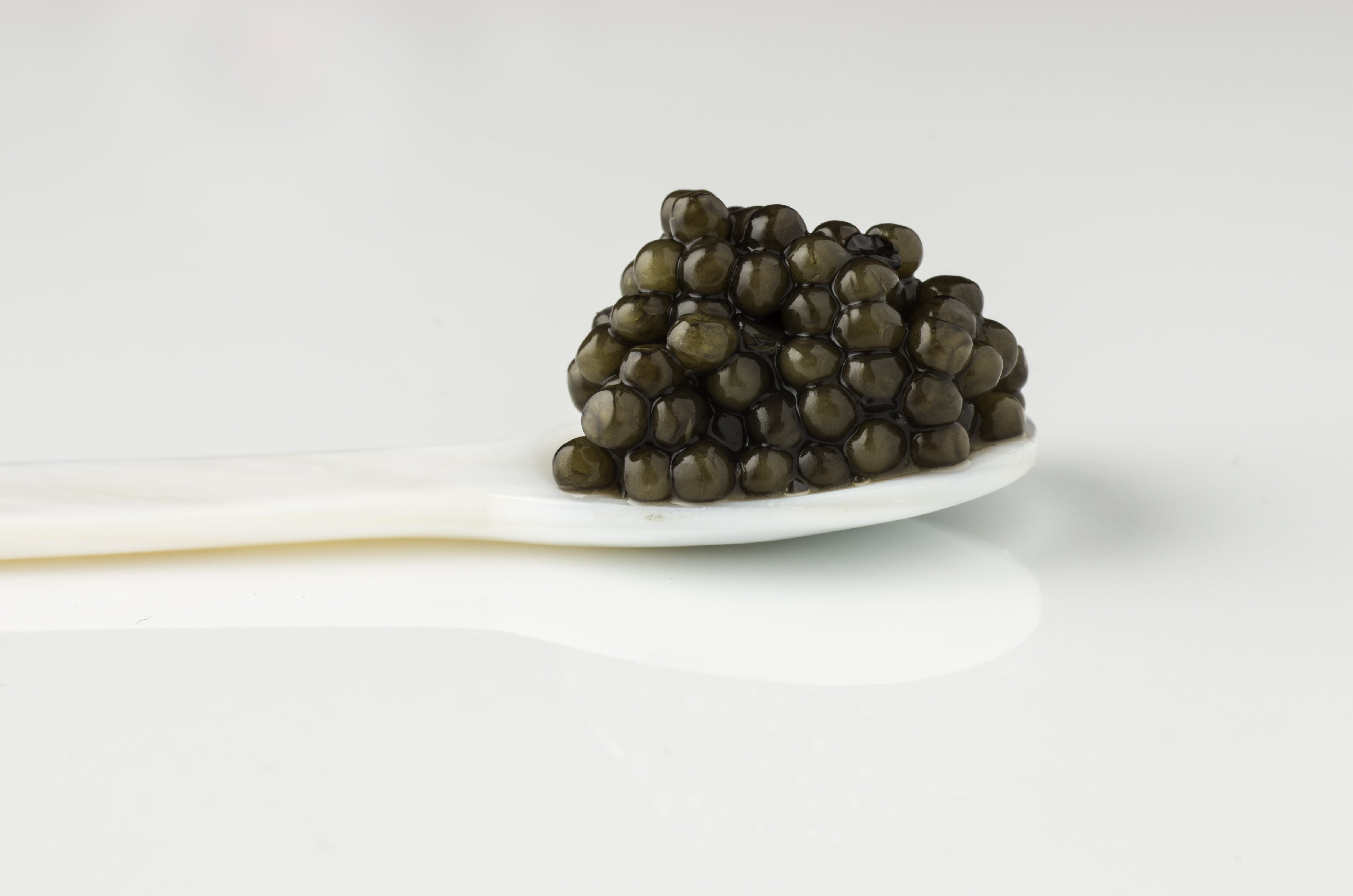 Caviar du Québec sauvage 