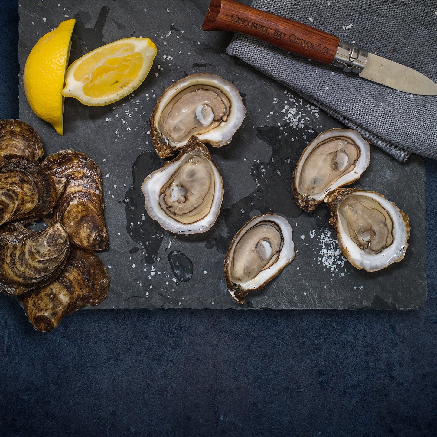 Foxley River Oysters