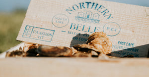 Northern Belle Oysters