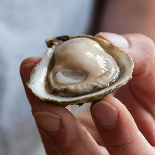 Huîtres fraîches d'Huîtres & Caviar Montréal – Oysters & Caviar