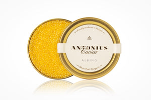 Caviar Antonius Albinos